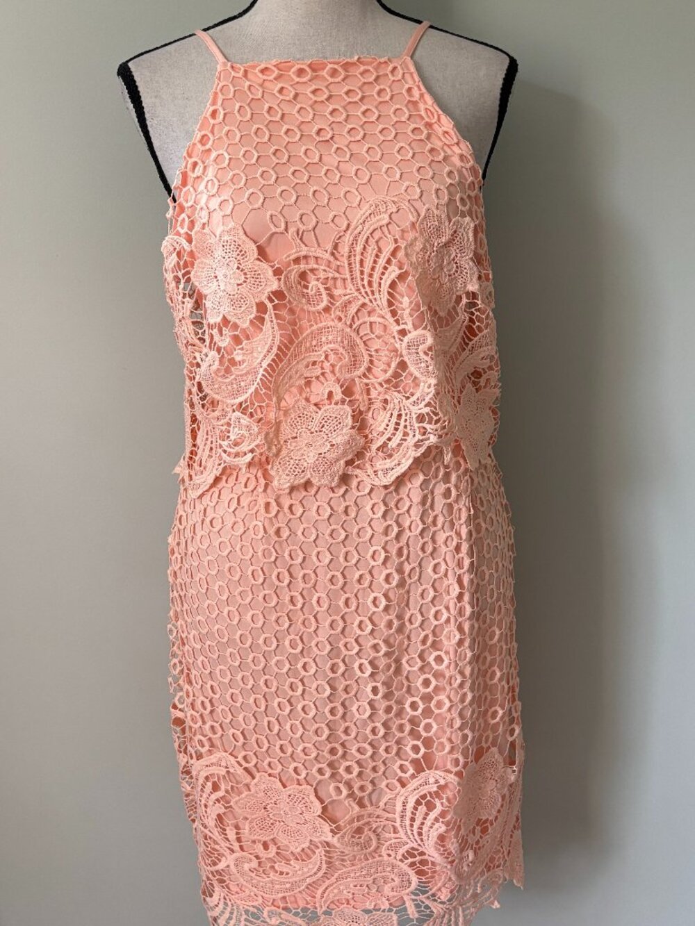 BB Dakota Bryn Bodycon Salmon Pink Lace Halter Dress Size 6 NWT